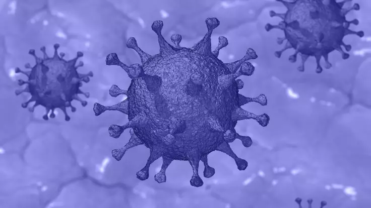Нардеп рассказала о результатах теста на коронавирус в Раде