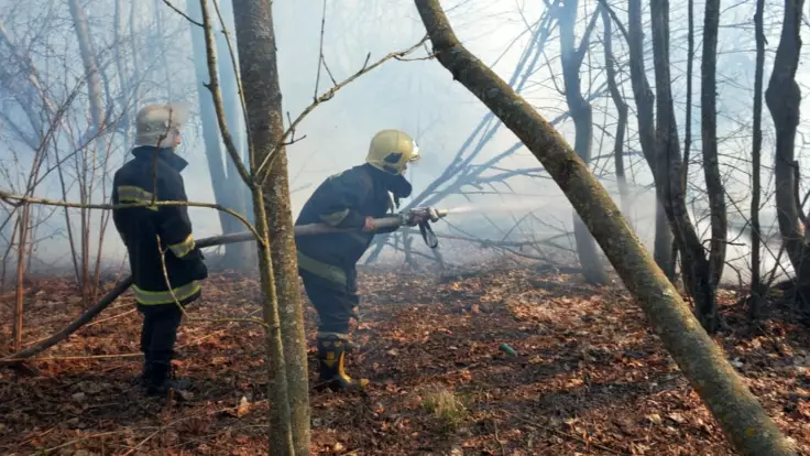 Пожар в Чернобыльской зоне: эколог рассказал о радиации и последствиях