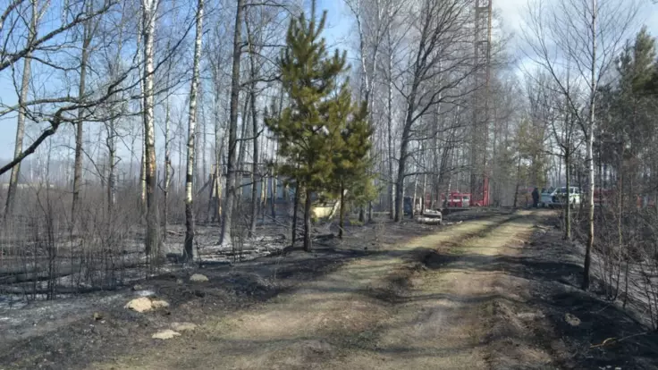 Наследие СССР: адвокат назвал одну из важных причин лесных пожаров
