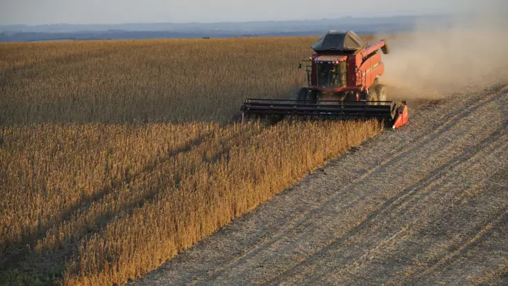 "Ситуация критическая": у Зеленского назвали проблемный регион по сбору урожая