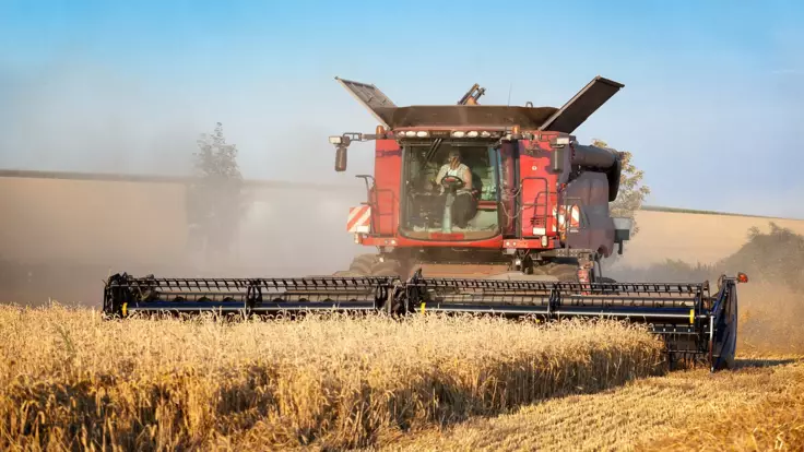 Украинские фермеры потеряли урожай озимых: кто пострадал больше всех