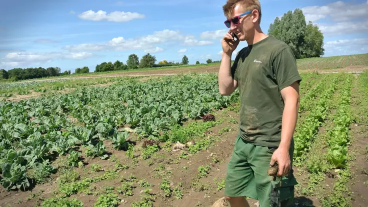 Фермеры в Украине уничтожают овощи и несут огромные потери