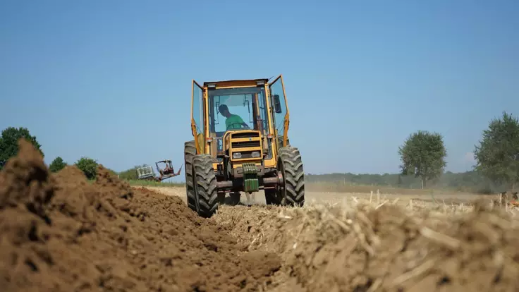 Запуск рынка земли в Украине: советник Зеленского раскрыл детали