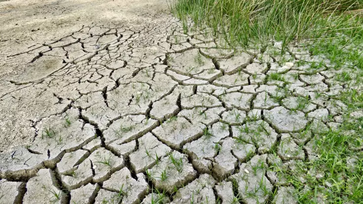 Украину ожидают засухи: климатолог озвучил прогноз