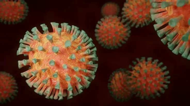 Мутации коронавируса: генетик объяснил, есть ли опасность