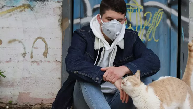 Можно ли заразиться коронавирусом от собак и котов — ветеринар дал ответ