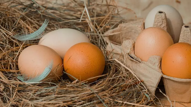 В супермаркетах те же яйца, что и на рынках  - эксперт советует, как покупать