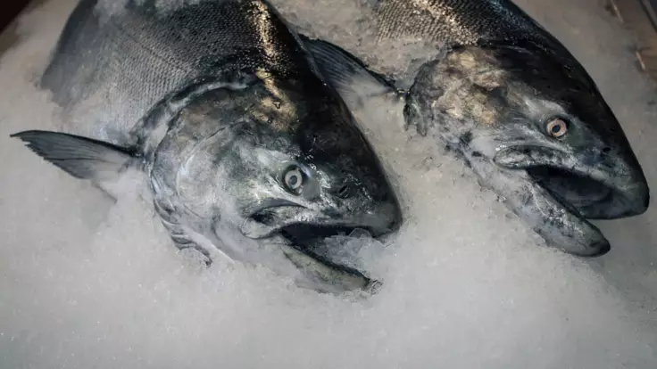 Замороженная рыба на рынках - эксперты рассказали, в чем опасность