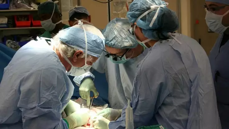 Пересадка органов может стать частью медреформы — врач назвал условия