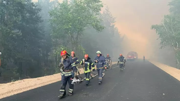 Самый страшный для леса - в ГСЧС оценили пожар в Луганской области