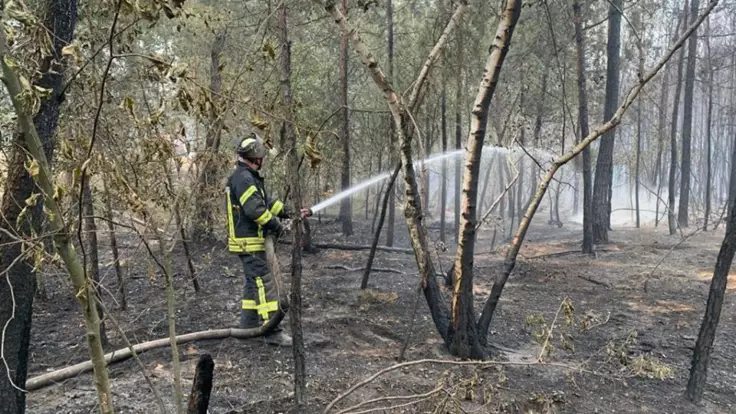 Пожары в Луганской области: названа главная версия