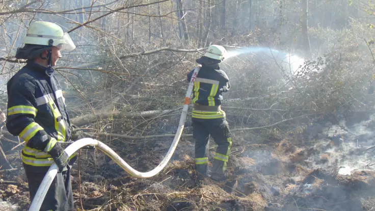 Тушение масштабного пожара на Луганщине осложнилось: что мешает спасателям