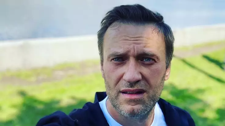 Как Россия будет искать отравителей Навального: названы два варианта