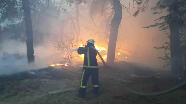 "Возможна диверсия": у Авакова назвали последствия пожаров в Луганской области