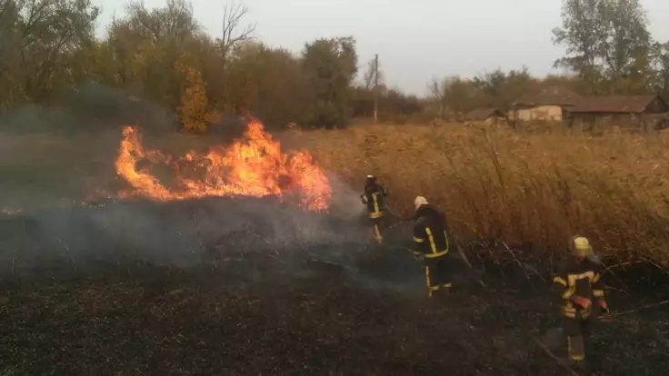 Виноваты боевики - в ООС объяснили, что стало причиной пожаров на Луганщине