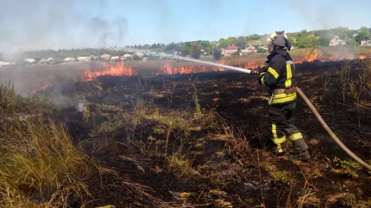 Масштабные пожары на Луганщине: в МВД сделали заявление насчет причин