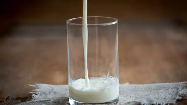 "Есть минимум четыре вкуса": эксперт оценил качество молока в Украине