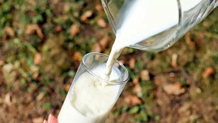 Какое молоко нельзя употреблять: украинцам дали совет 