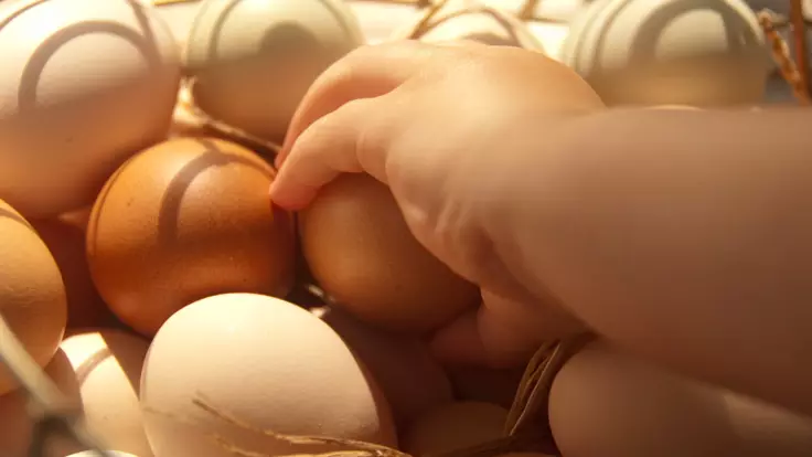 Яйца будут дорожать до новогодних праздников – эксперт аграрного бизнеса