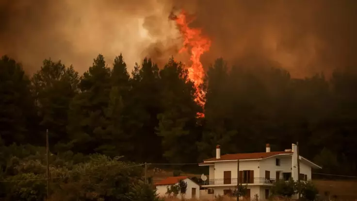 Очевидица о масштабных пожарах в Греции: ходят слухи, что это поджоги
