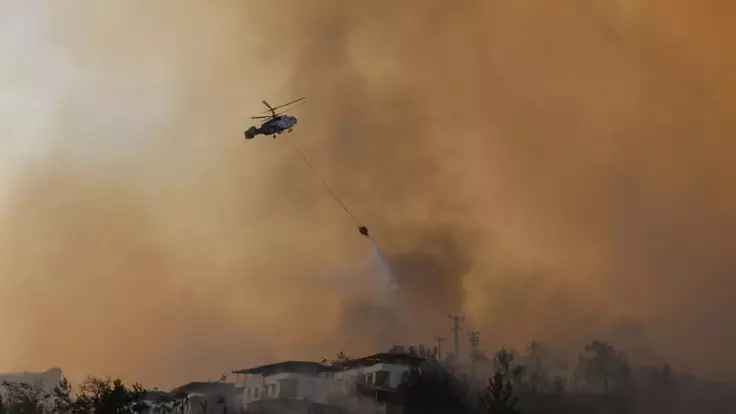 Украинские спасатели ликвидировали масштабный лесной пожар в Турции