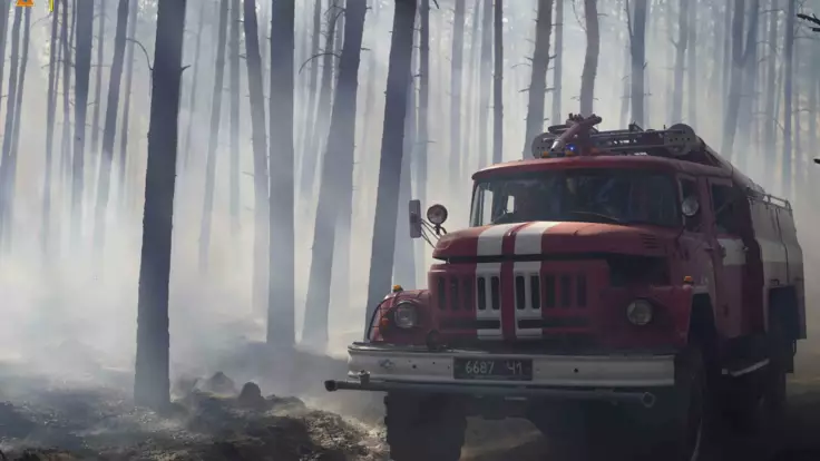 Масштабный лесной пожар на Донбассе: в ГСЧС рассказали подробности