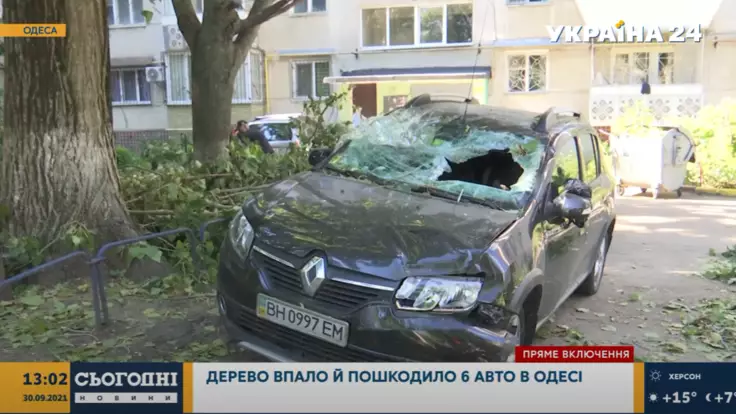В Одессе упал гигантский тополь и повредил шесть авто – подробности о происшествии