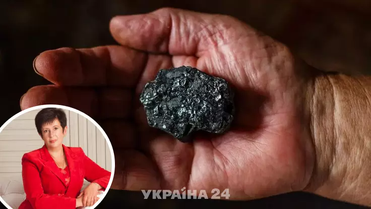 "Запасов угля осталось на 21 день": Лутковская забила тревогу