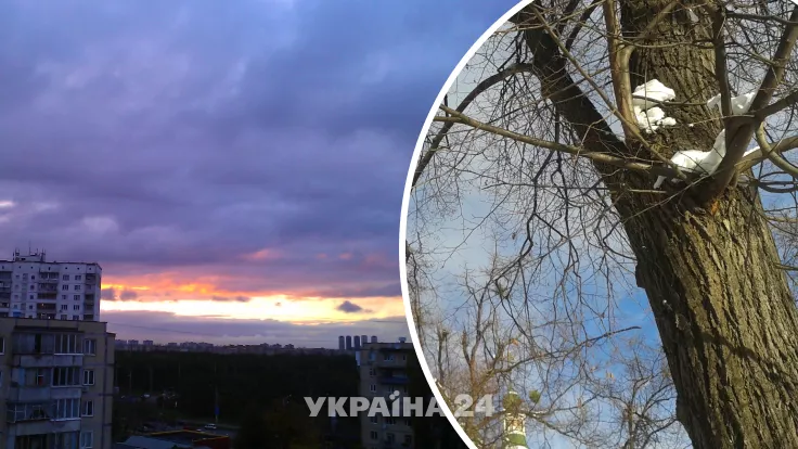 Погода в Украине: выяснилось, где  8 декабря будет холодней всего, и где выпадет снег 