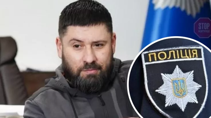 Нардеп назвал две серьезные проблемы в скандале с Гогилашвили