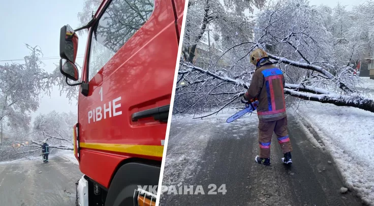 Запад Украины замело снегом: какие регионы пострадали