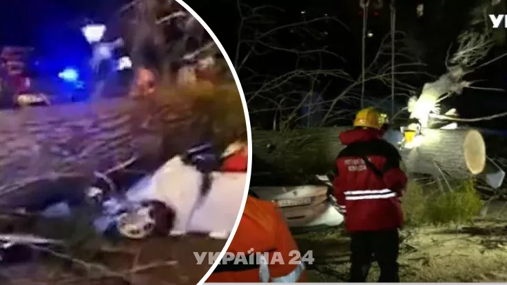 Непогода в Украине: ураганный ветер в Киеве повалил дерево на машину, погиб человек